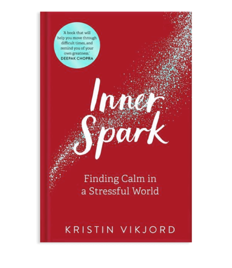 book-inner-spark